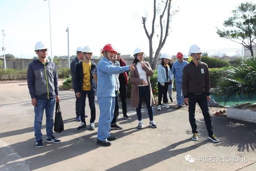 走綠色發展之路，樹環保標桿企業——環境保護監測的核心使命與實踐路徑