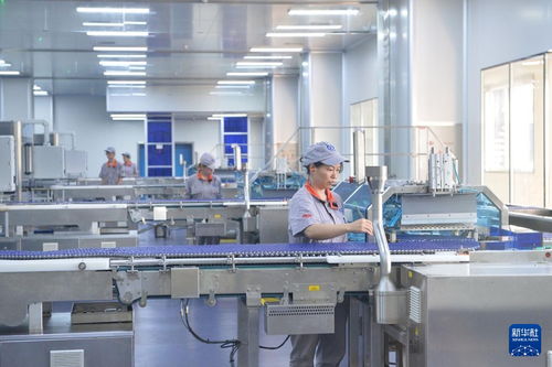 高質量發展調研行丨守正創新，以現代科技賦能傳統瑰寶——探訪重慶涪陵太極集團的中醫藥產業升級之路